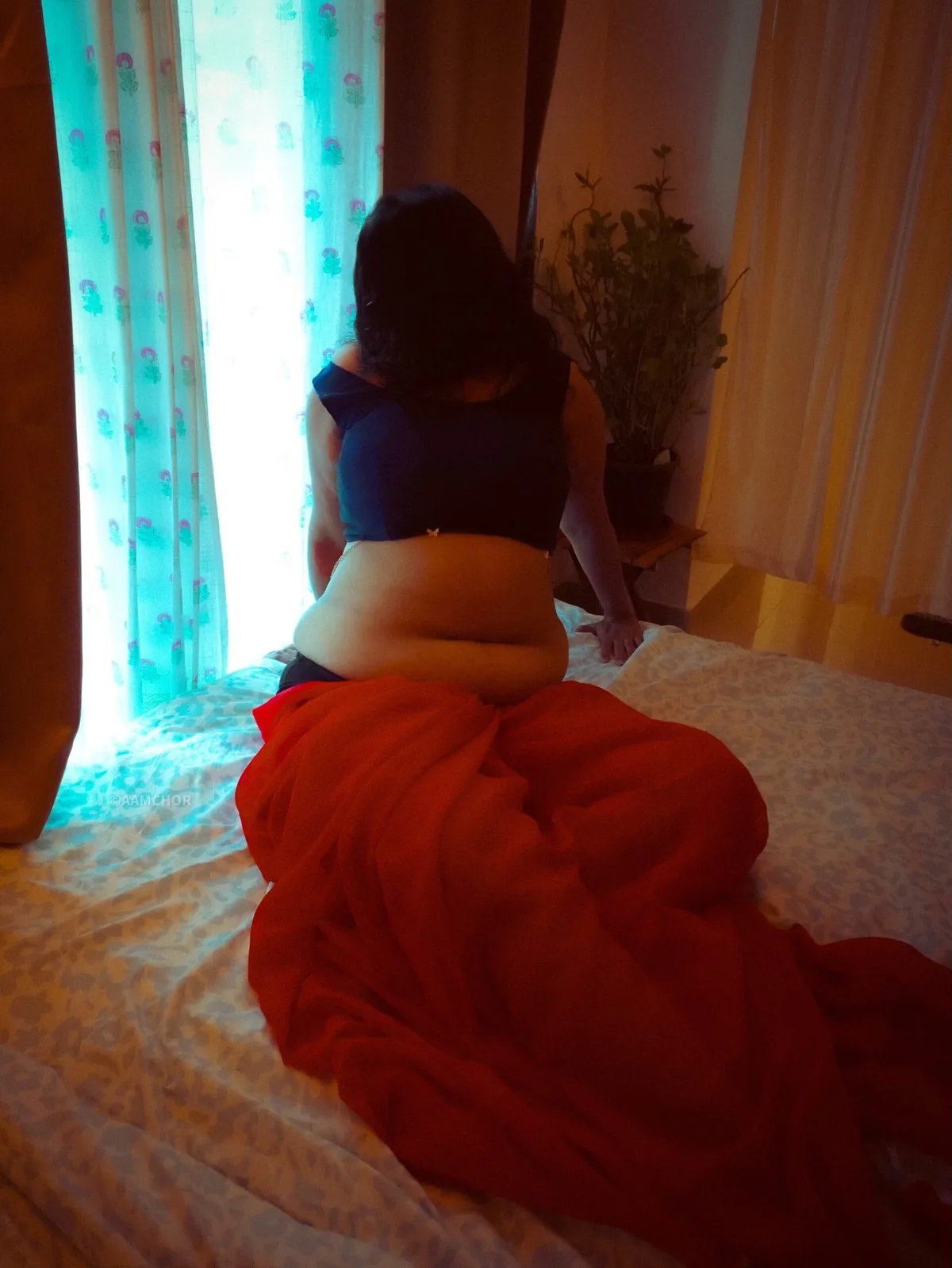Pranavi in a saree portrait